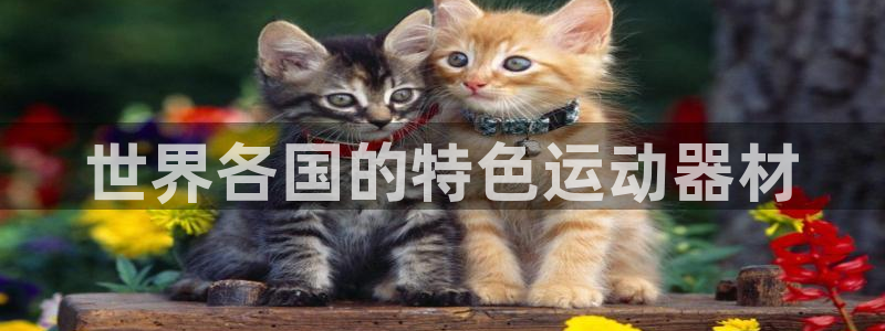 注册意昂3:世界各国的特色运动器材