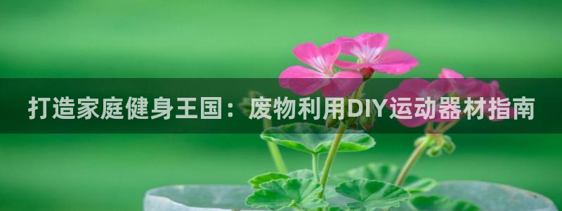 意昂体育3平台注册流程视频:打造家庭健身王国:废物利用DIY